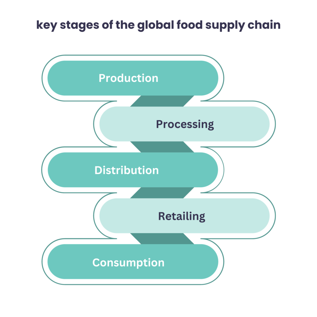 Global Food Chain How Your Plate is Connected to World