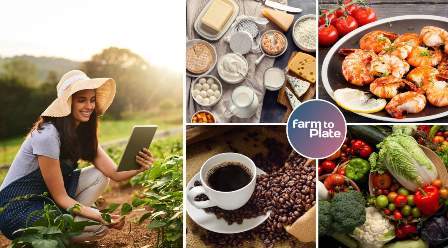 farm_to_plate-1536x853