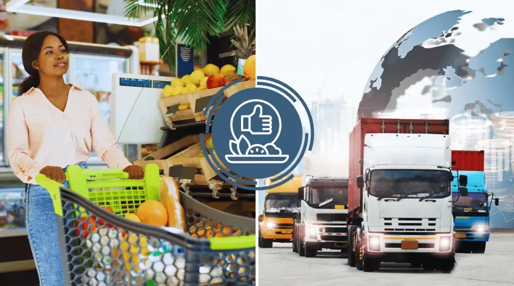 food-supply-chains-in-southern-africa
