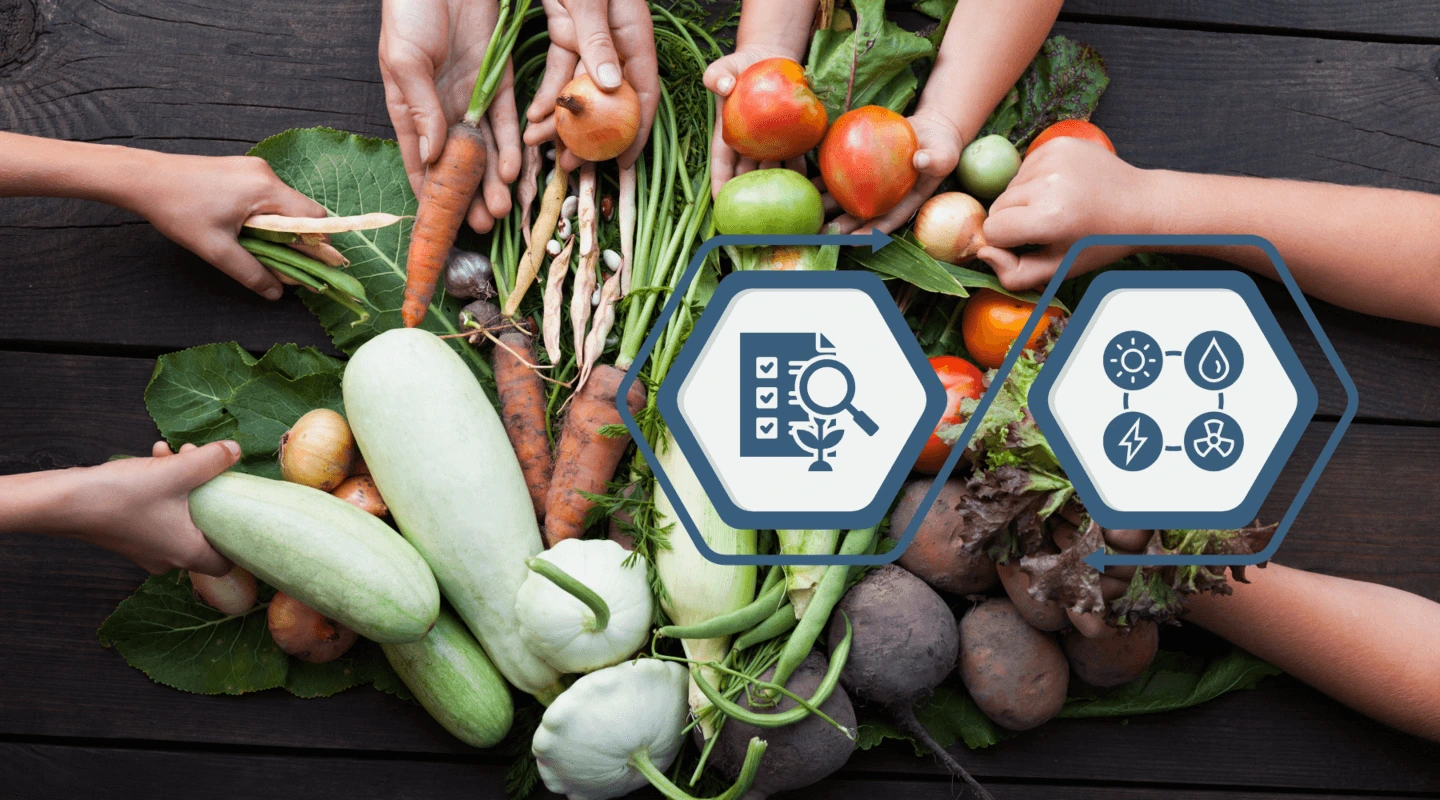 sustainability-initiatives